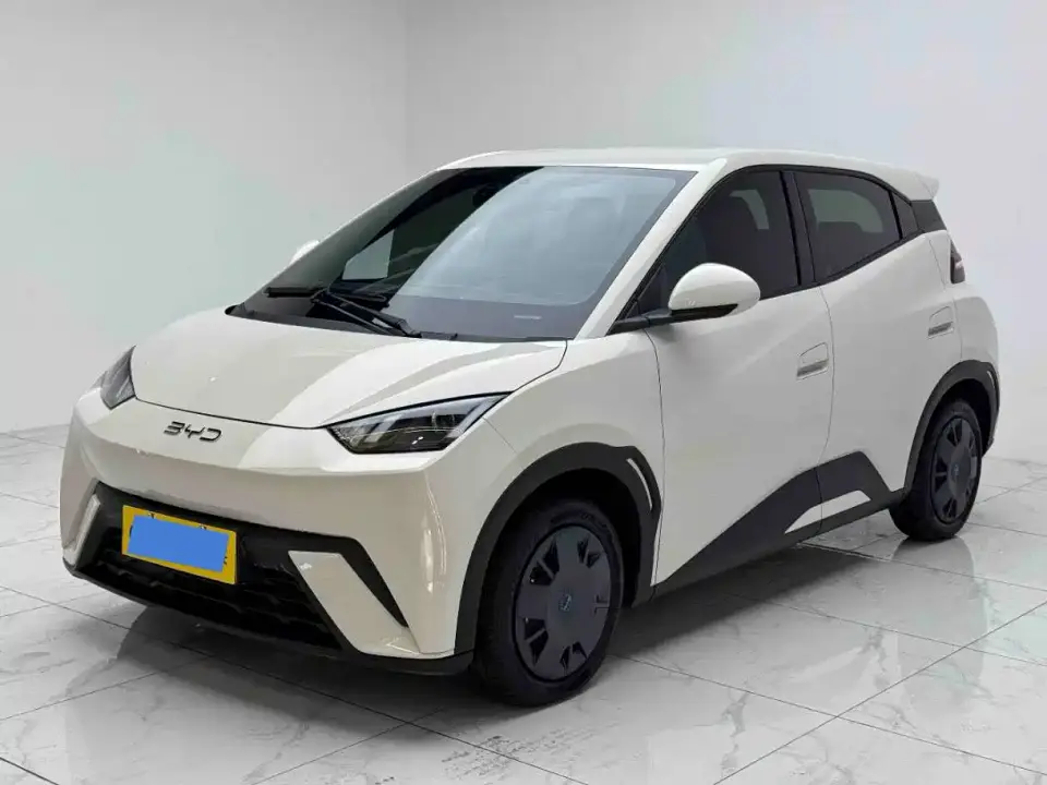 BYD Seagull 305km Vitality 2024