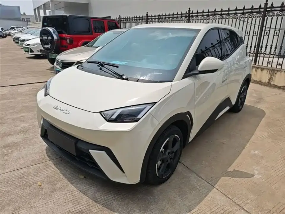 BYD Seagull Glory Edition 305km Freedom Edition 2024