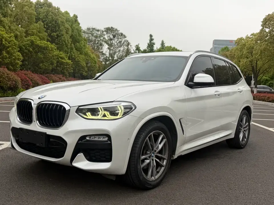 BMW X3 xDrive30i Leading M Sport Package China V 2019
