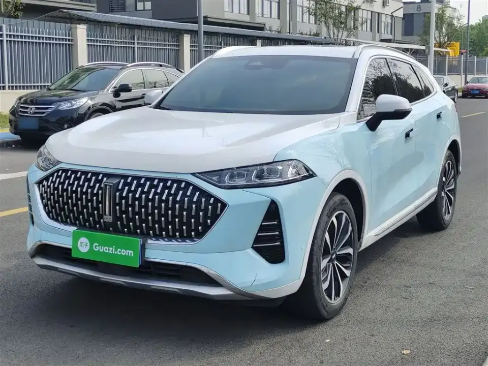 Wey Mocha 2.0T 2WD Extra Rich Edition 2022