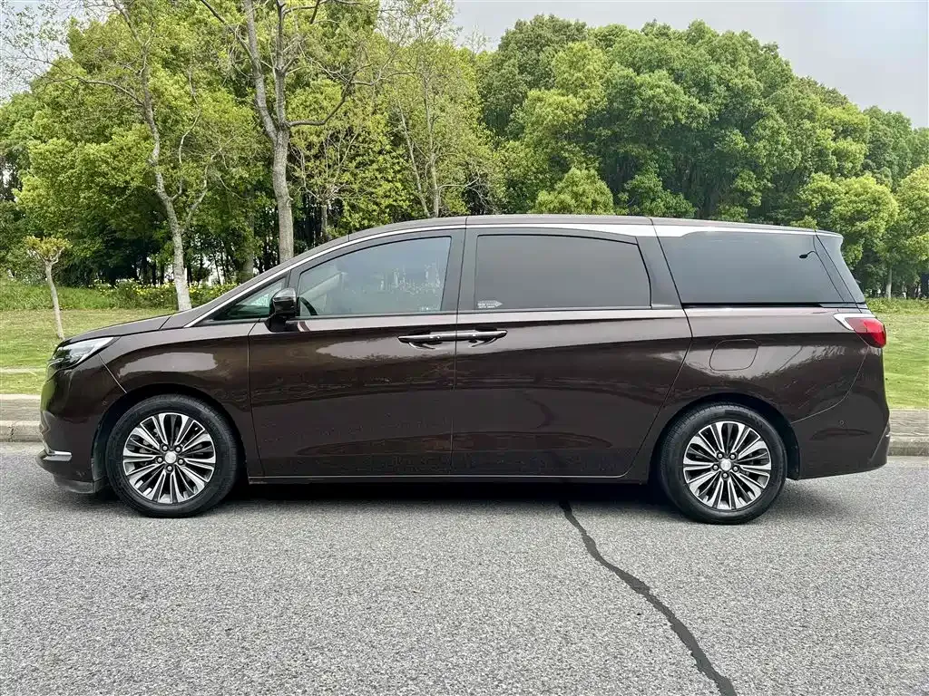 Buick GL8 ES Landlord 653T Premium 2021 — фото 7