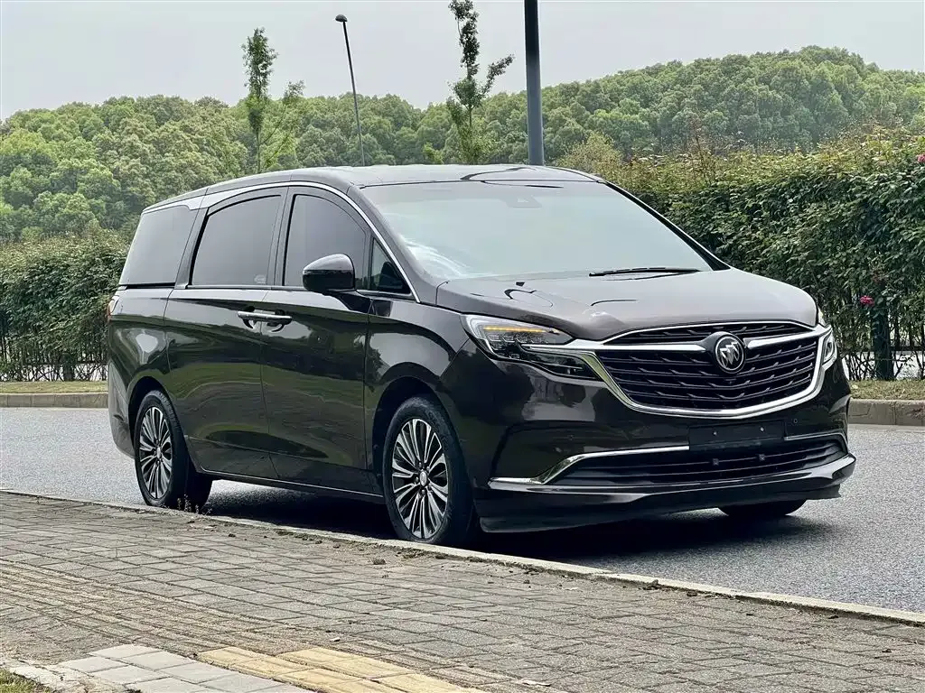 Buick GL8 ES Landlord 653T Premium 2021 — фото 3
