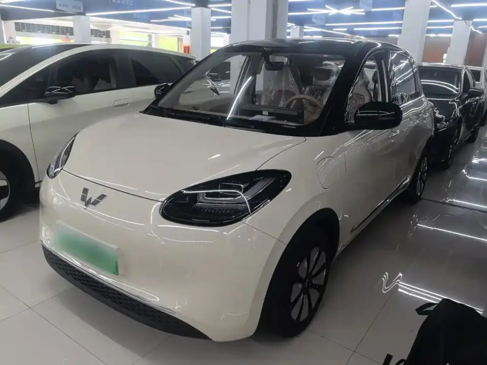 Wuling Motors Wuling Bingo Model 333km Joy Edition 2026