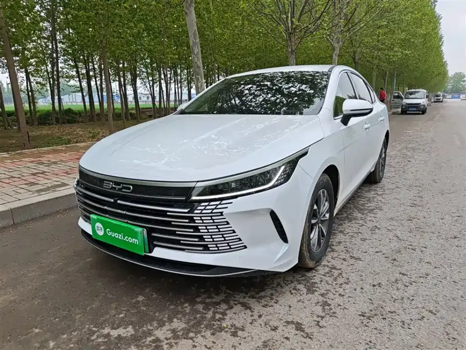 BYD Destroyer 05 Glory Edition DM-i 55KM Luxury 2024