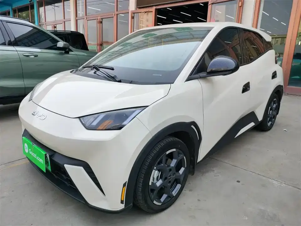 BYD Seagull 305km Freedom 2025