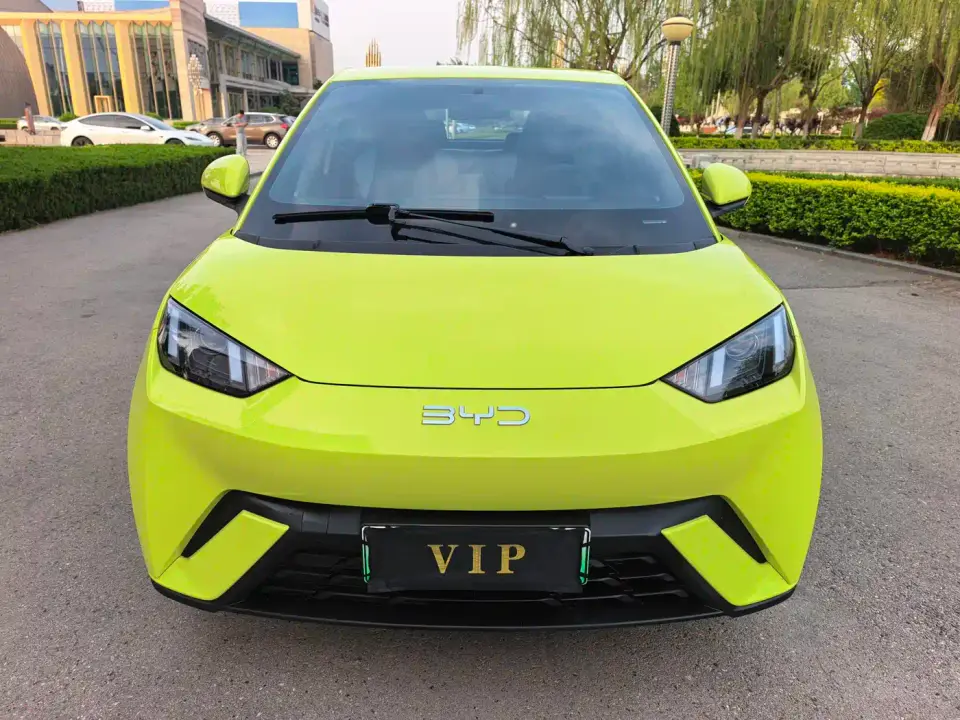 BYD Seagull Glory Edition 305km Vitality Edition 2024