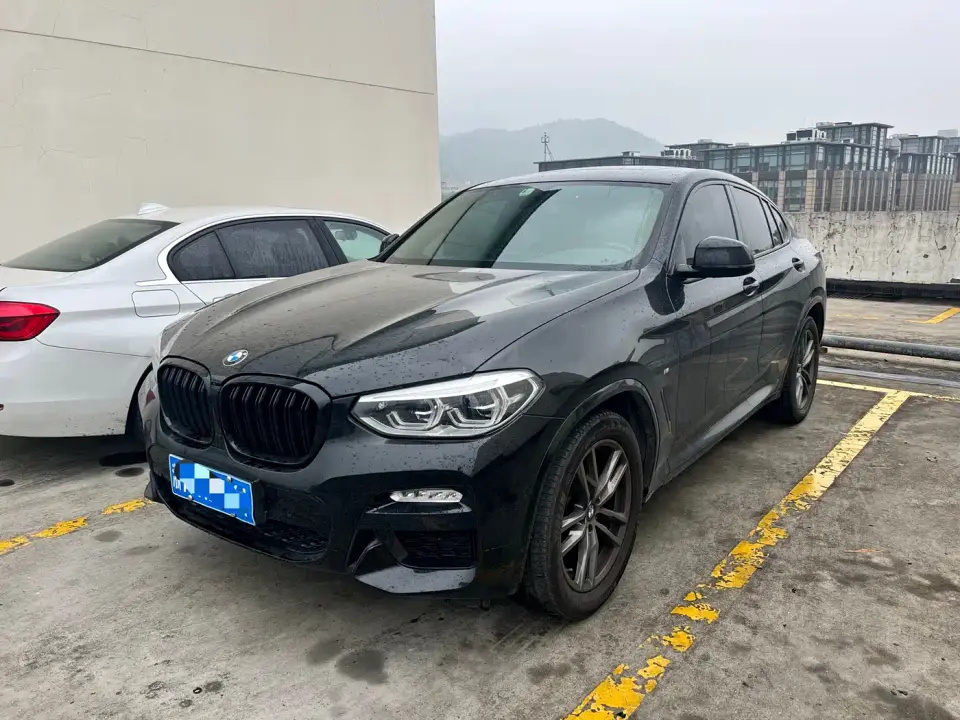 BMW X4 xDrive25i M Sport Package 2019
