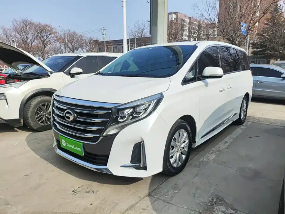 GAC Trumpchi M8 Pilot 390T Premium Edition 2021