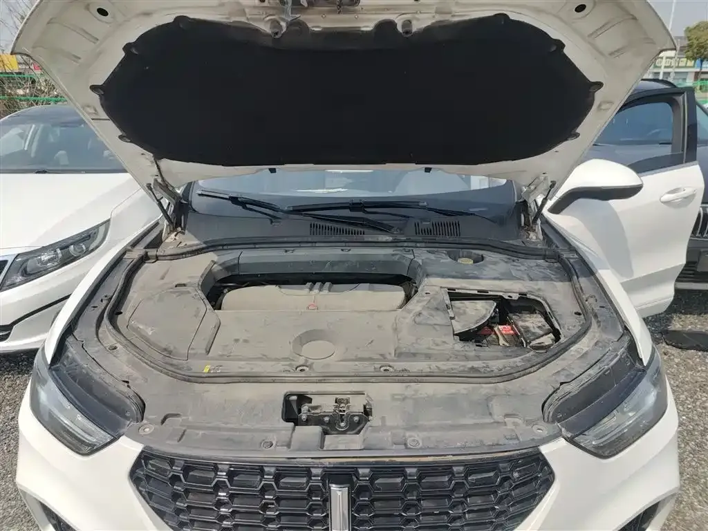 Wey VV5 1.5T 2WD Style Pioneer 2019 — фото 16