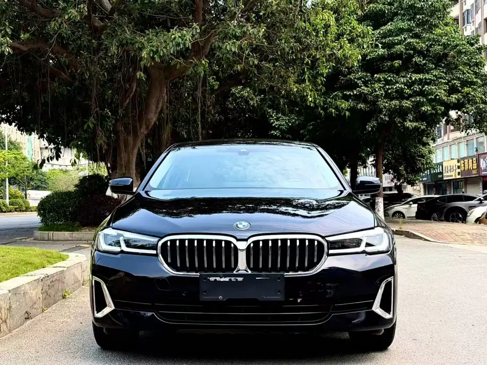 BMW 5 Series 530Li Leading Luxury Package 2022