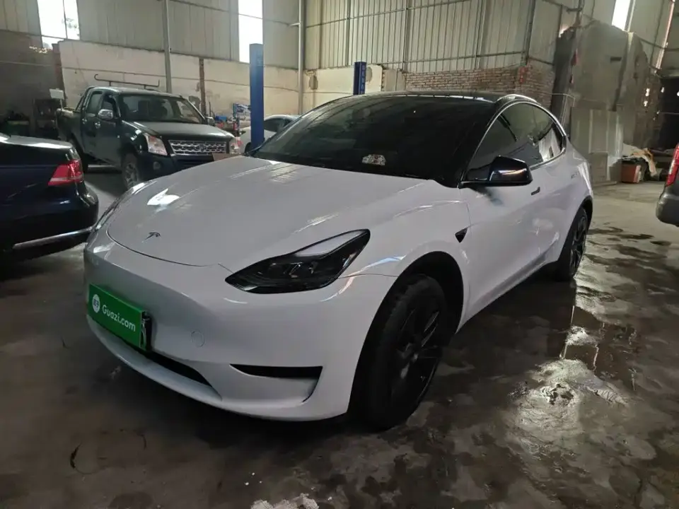Tesla Model Y Rear-Wheel Drive Version 2025
