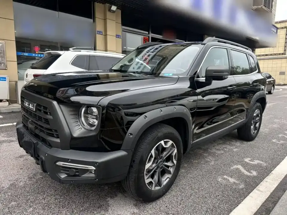 Haval Big Dog 2.0T DCT Chinese Rural Dog Edition 2024