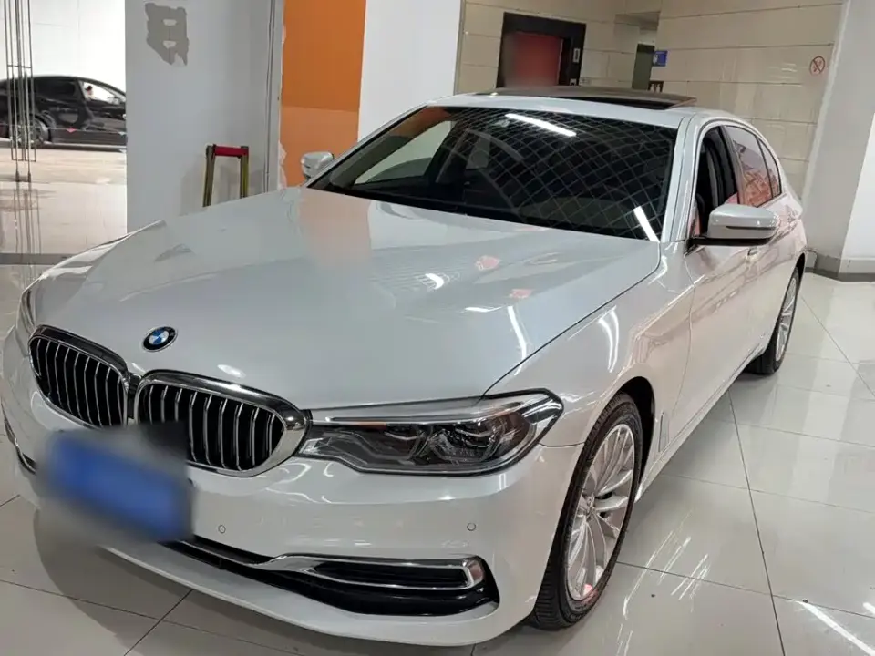 BMW 5 Series 530Li Leading Luxury Package 2020