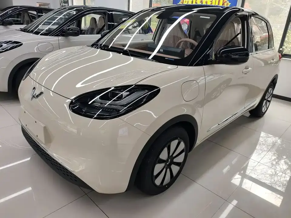 Wuling Motors Wuling Bingo Model 333km Joy Edition 2026
