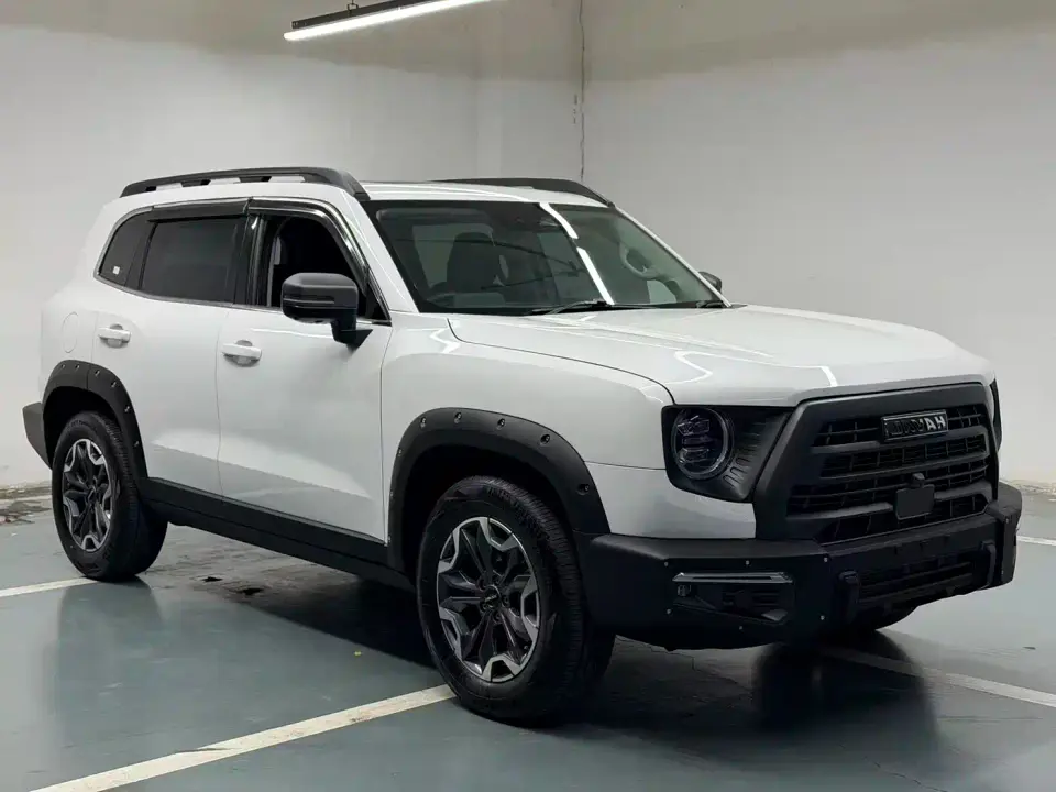 Haval Big Dog 2.0T DCT 4WD Chinese Rural Dog Hunting Edition 2024