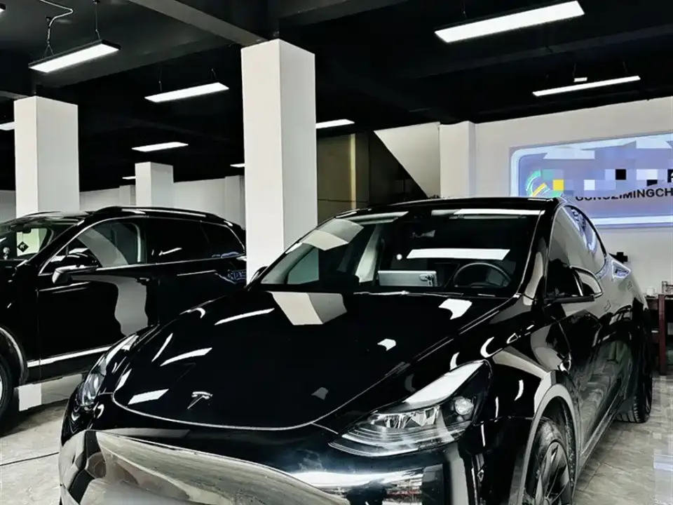 Tesla Model Y Rear-Wheel Drive Version 2022