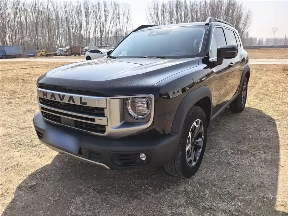 Haval Big Dog 2.0T DCT Chinese Rural Dog Edition 2025