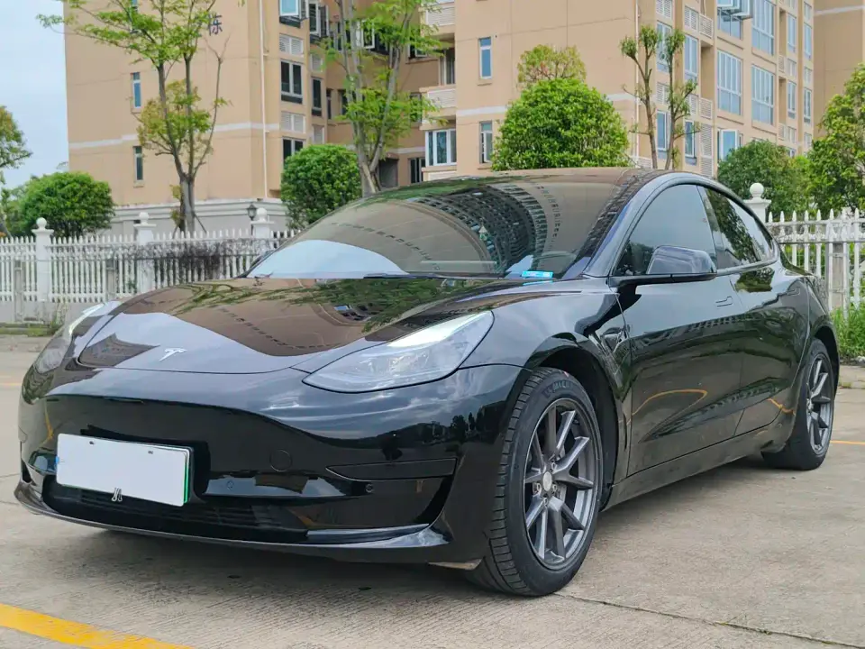 Tesla Model 3 Model Rear-Wheel Drive Version 2022