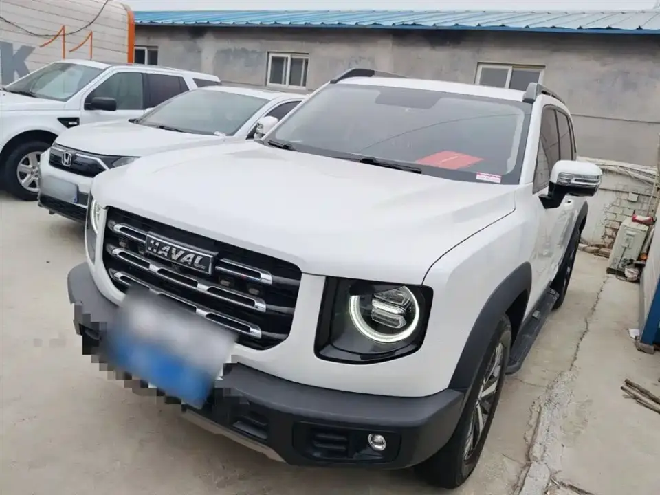 Haval Big Dog 1.5T DCT 2WD Labrador Edition 2020