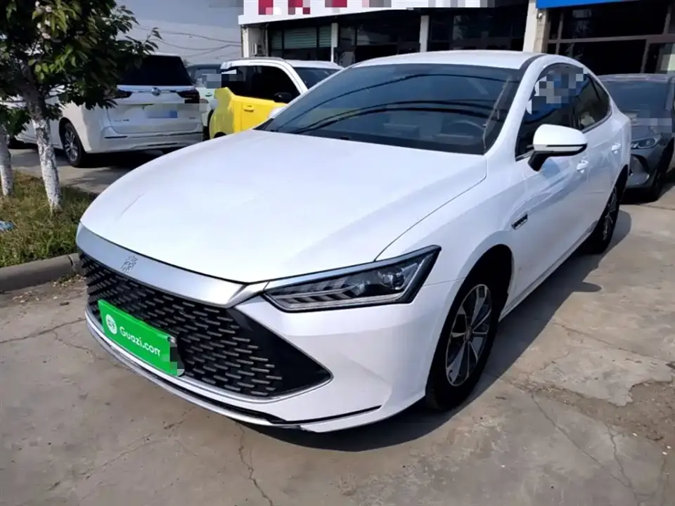 BYD Qin PLUS Glory Edition DM-i 55KM Leading 2025