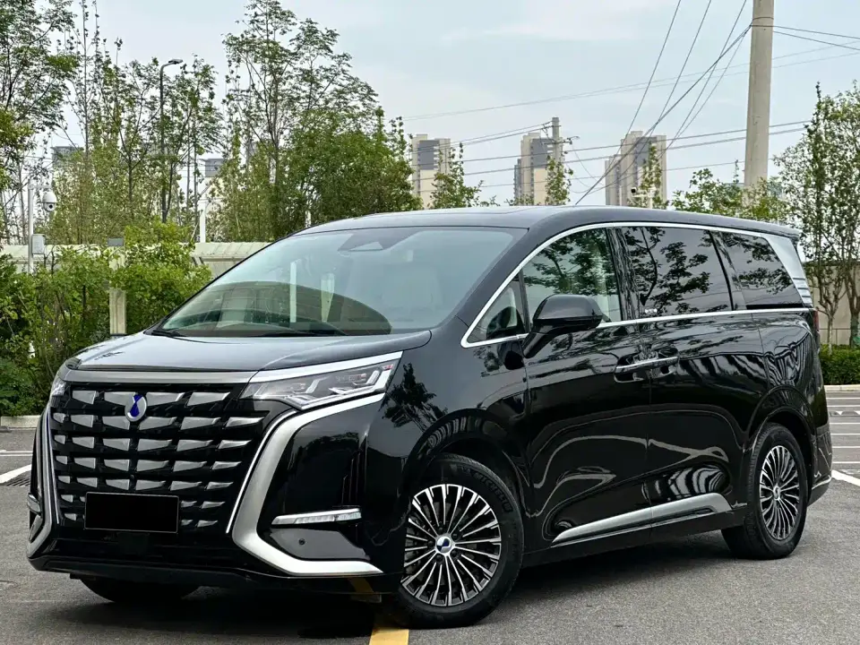 Denza D9 DM-i 980 AWD Flagship 2024