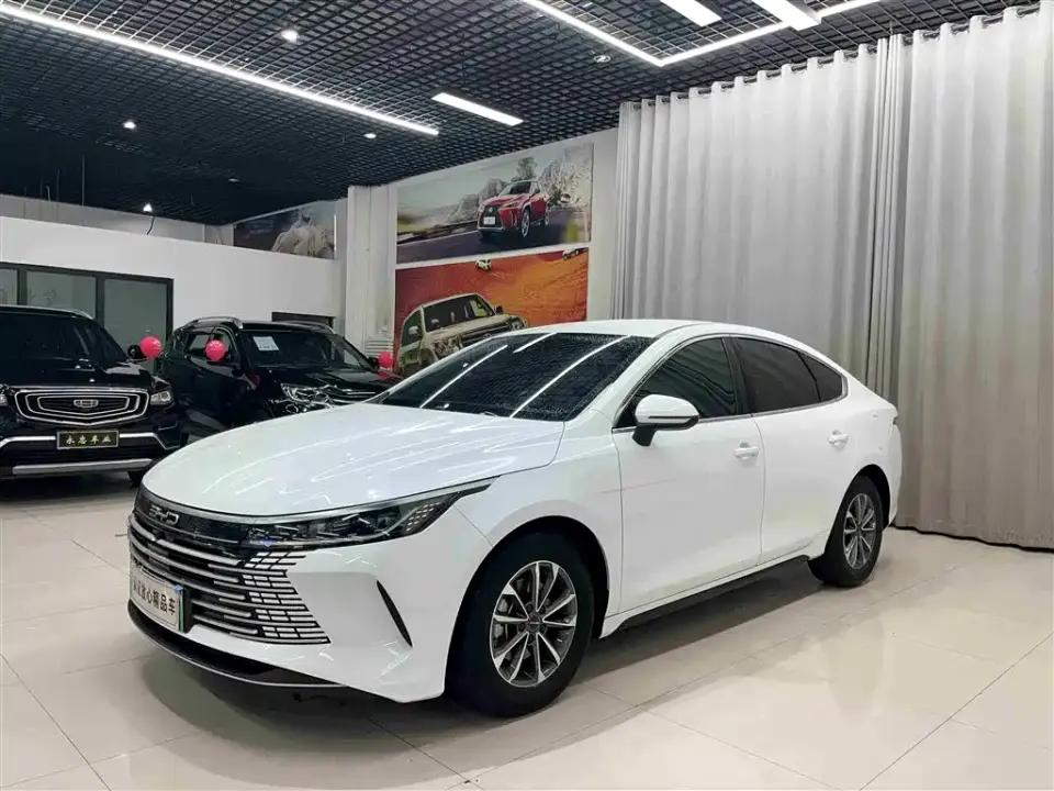 BYD Destroyer 05 Glory Edition DM-i 55KM Luxury 2024