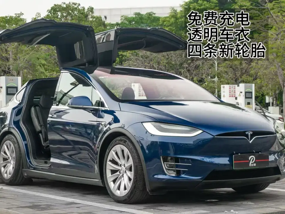 Tesla Model X Long Range Version 2019