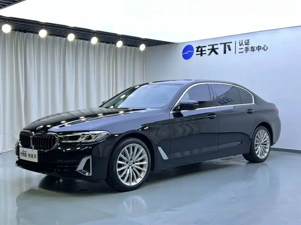 BMW 5 Series 530Li Premium Luxury Package 2021