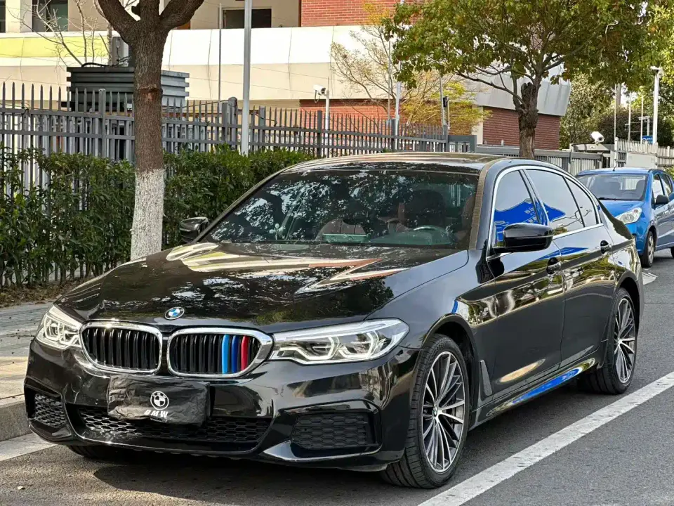 BMW 5 Series Model 530Li xDrive M Sport Package 2020