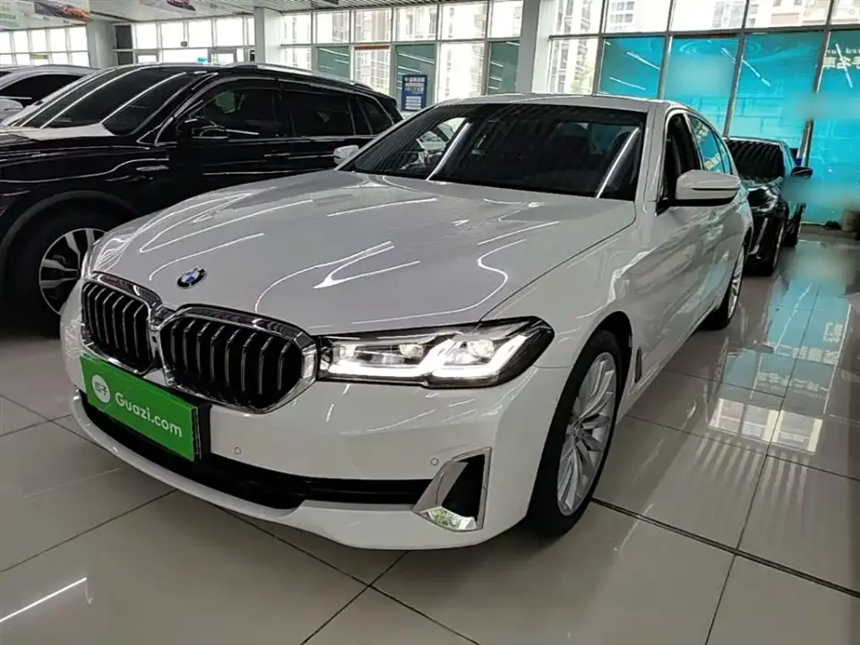 BMW 5 Series 530Li Premium Luxury Package 2021