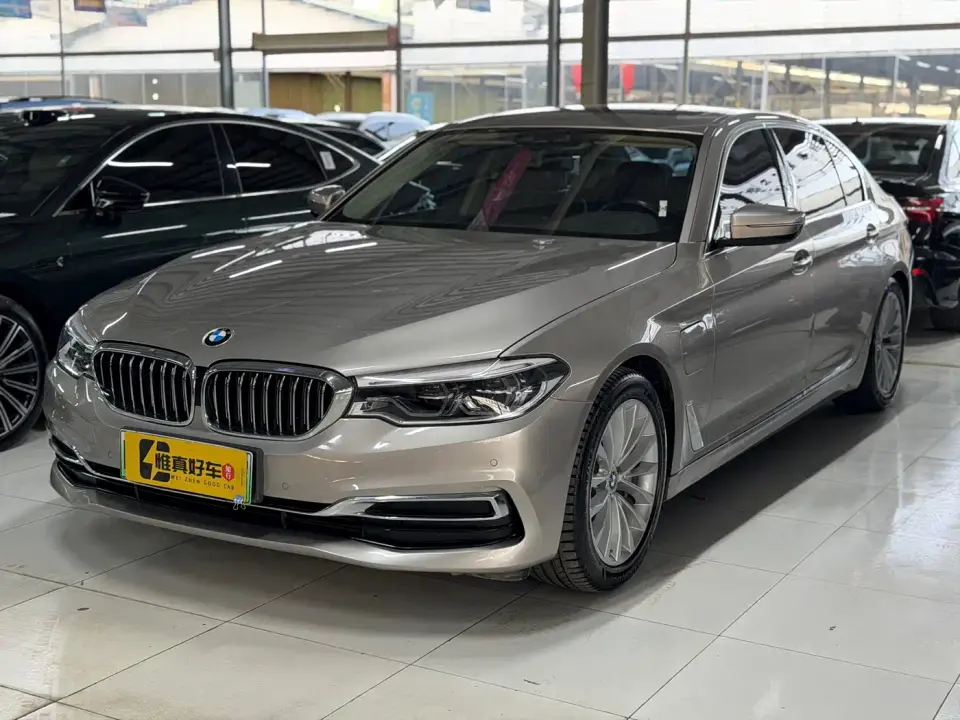 BMW 5 Series New Energy 530Le Luxury Package 2019