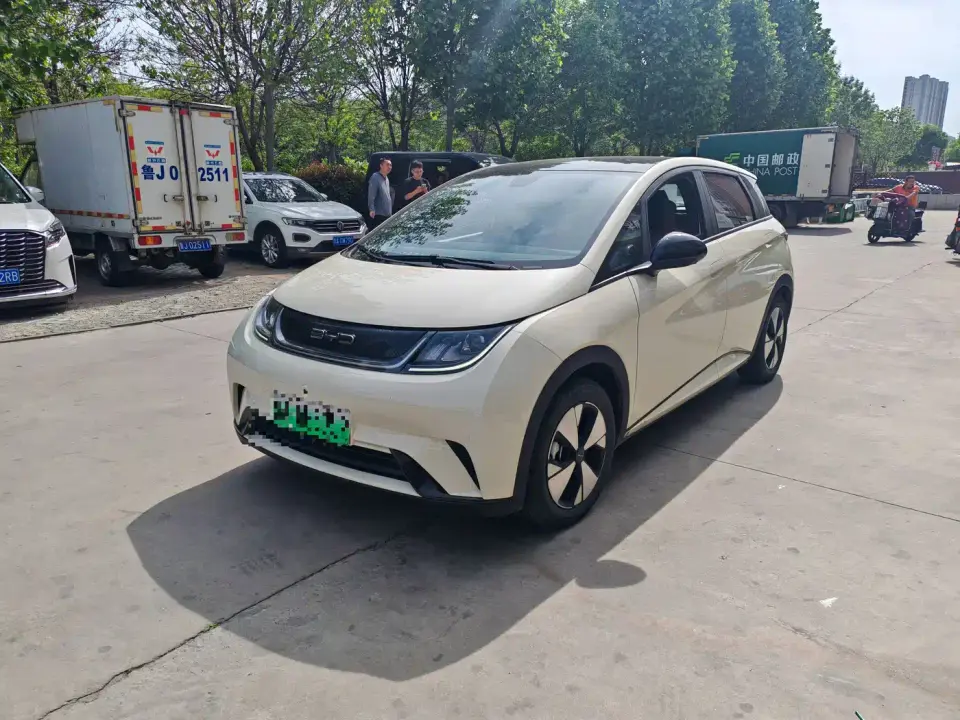 BYD Dolphin 420km Freedom Edition 2023