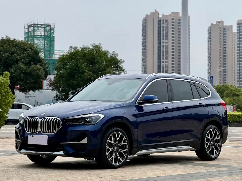 BMW X1 xDrive25Li Premium Edition 2019