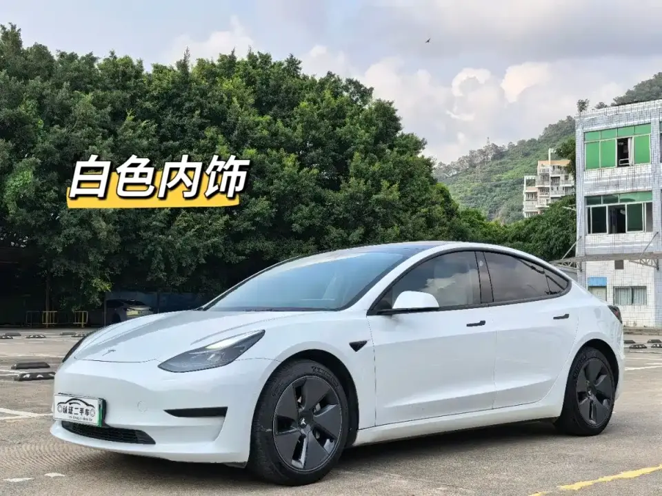 Tesla Model 3 Standard Range Rear-Wheel Drive Upgrade 3D6 2021