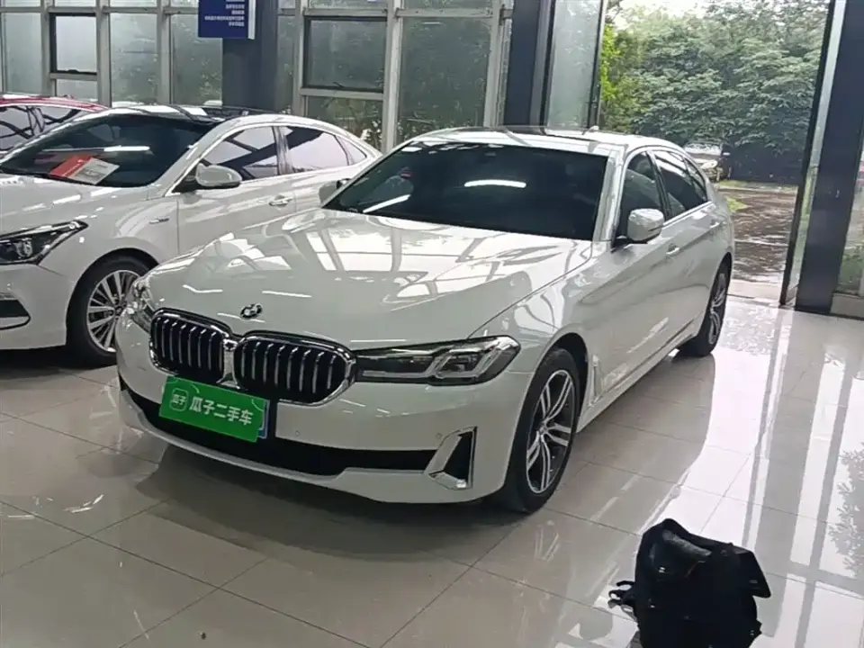BMW 5 Series 530Li Leading Luxury Package 2021