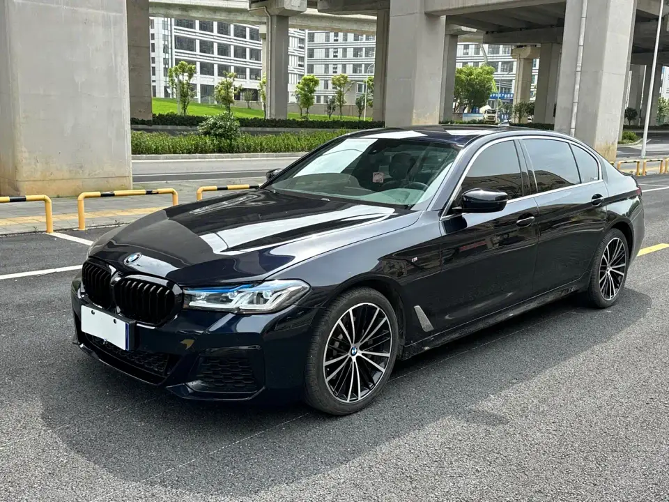 BMW 5 Series 530Li Leading M Sport Package 2020