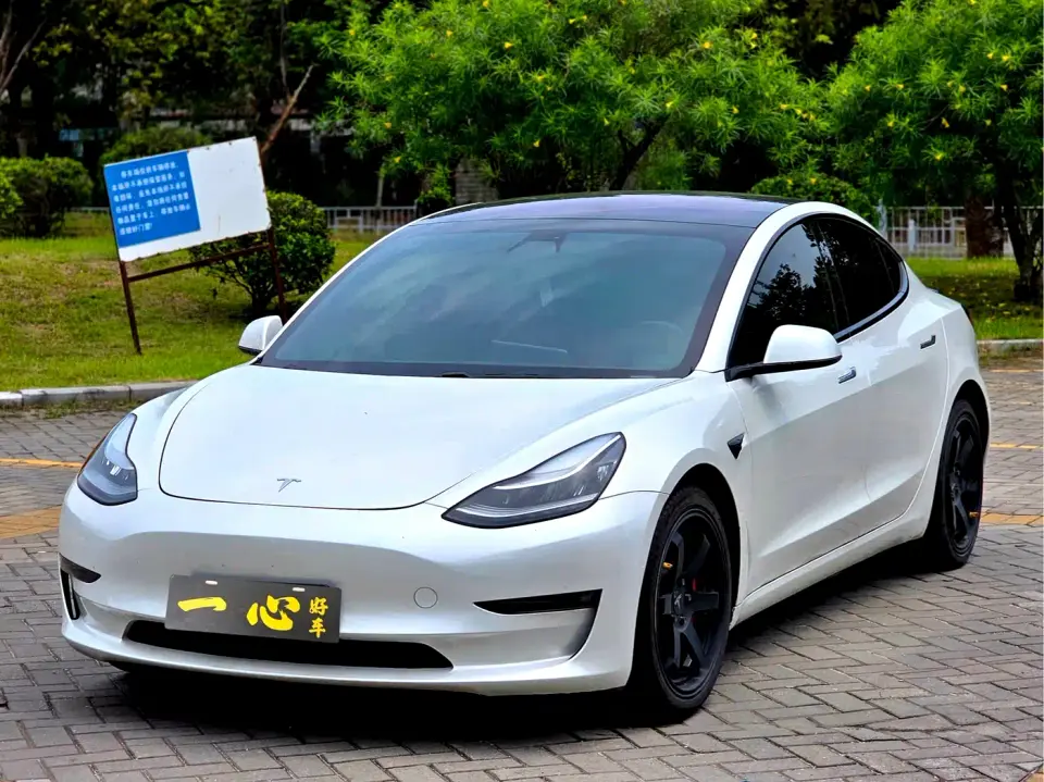 Tesla Model 3 (Import) Performance High-Efficiency All-Wheel Drive Version 2019