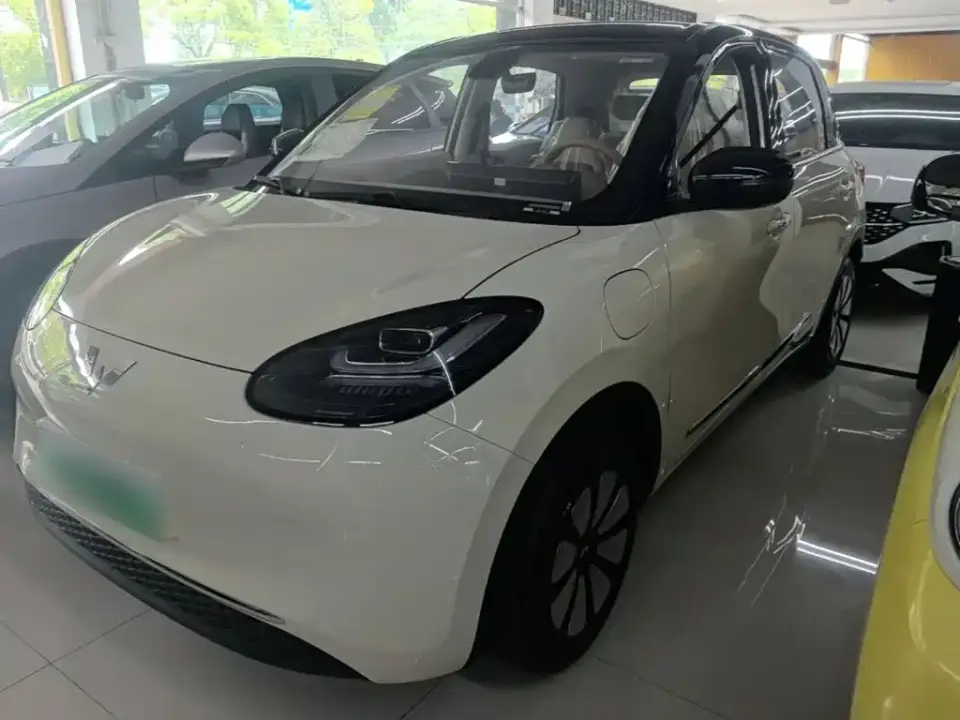 Wuling Motors Wuling Bingo Model 333km Joy Edition 2026