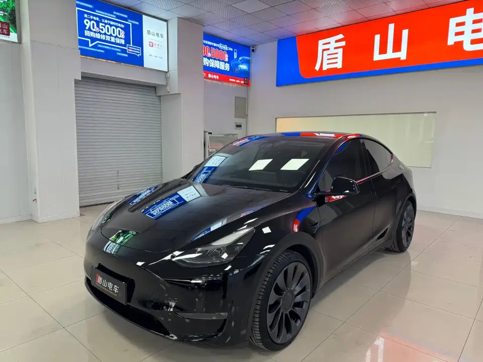 Tesla Model Y Performance High-Performance AWD 2021