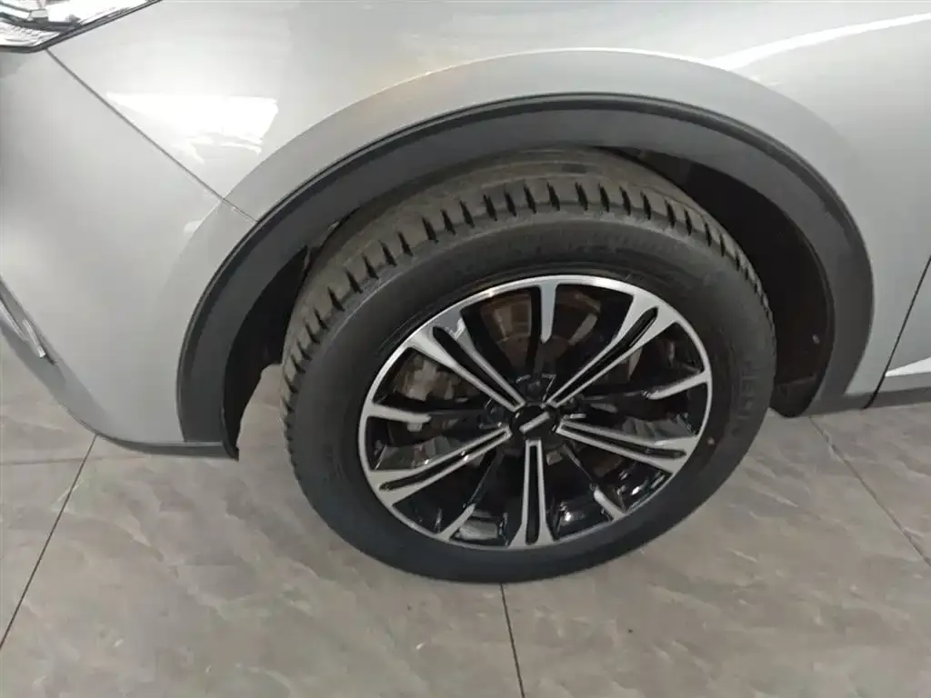 Wey VV6 2.0T 2WD Smart Protection+ 2021 — фото 23
