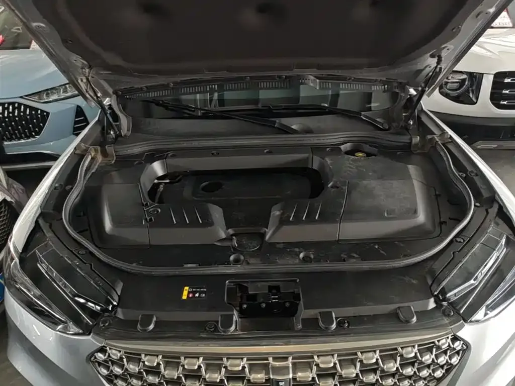 Wey VV6 2.0T 2WD Smart Protection+ 2021 — фото 20