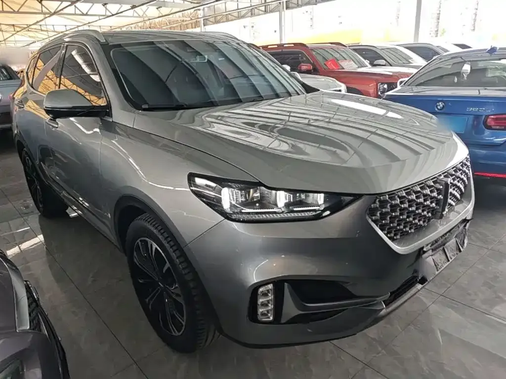 Wey VV6 2.0T 2WD Smart Protection+ 2021 — фото 4
