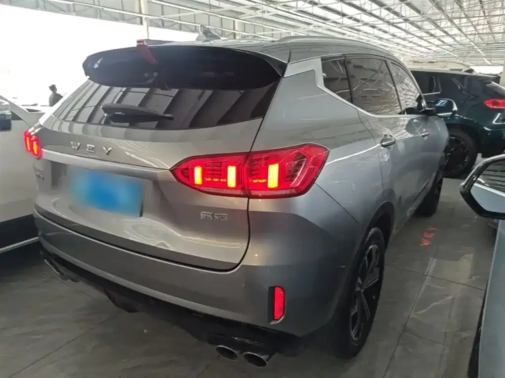 Wey VV6 2.0T 2WD Smart Protection+ 2021 — фото 7