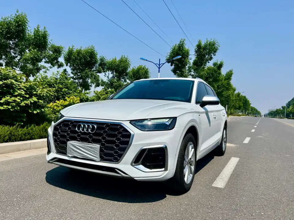 Audi Q5L 40 TFSI Luxury Dynamic 2021