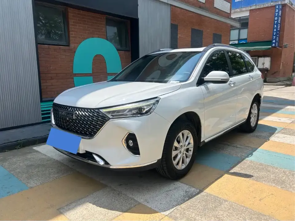 Haval M6 PLUS 1.5T DCT Peanut Auto Custom Edition 2023