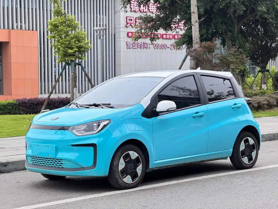 Sehol Flower Fairy Anniversary 301km Four-Leaf Clover 36kW 2023