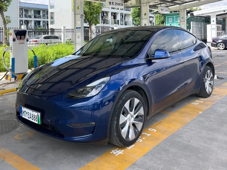 Tesla Model Y Model Long Range AWD 2021
