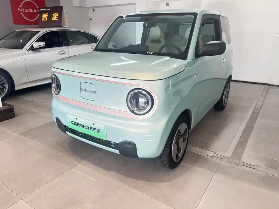 Geely Galaxy Panda Panda Mini New Year Edition - Treasure Bear 2023