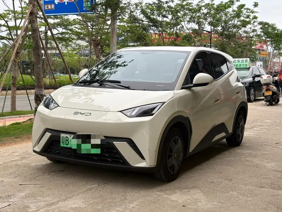 BYD Seagull Glory Edition 305km Vitality Edition 2024