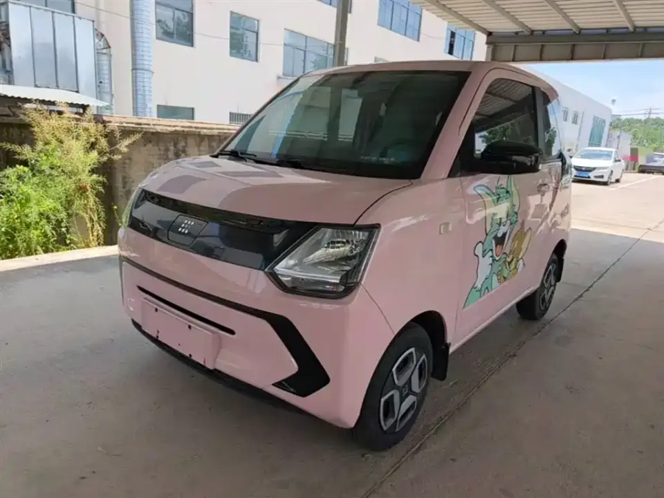 Dongfeng Fengguang Fengguang MINIEV Model Practical Edition Comfort 2022